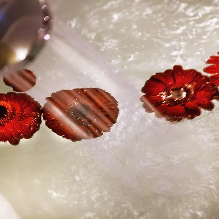 Hotel Cukurova Erten