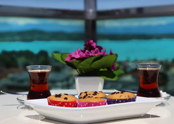 Hotel Cukurova Erten