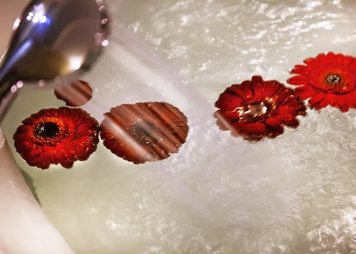 Hotel Cukurova Erten